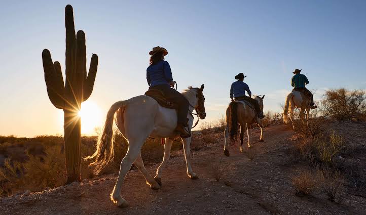 Three riders on horseback along a desert trail at sunset beside a saguaro cactus